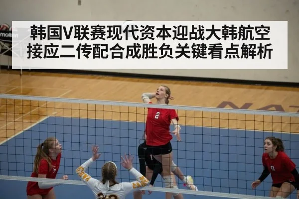 韩国V联赛现代资本迎战大韩航空接应二传配合成胜负关键看点解析